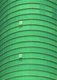Machine Washable Transitional Neon Green Rug, wshpat838grn