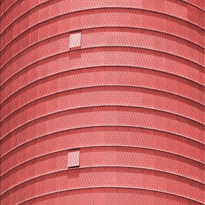 Patterned Red Rug, pat838rd