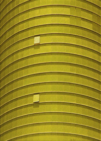 Machine Washable Transitional Dark Yellow Green Rug, wshpat838yw