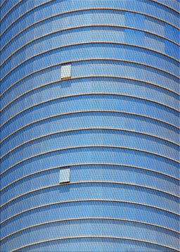 Machine Washable Transitional Sapphire Blue Rug, wshpat838