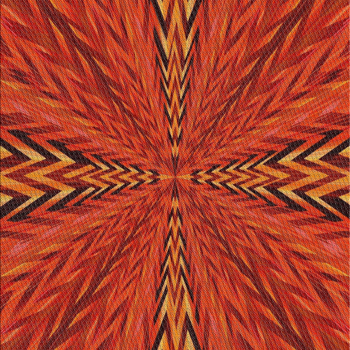 Patterned Orange Red Novelty Rug, pat840