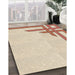 Machine Washable Transitional Peru Brown Rug in a Family Room, wshpat843brn
