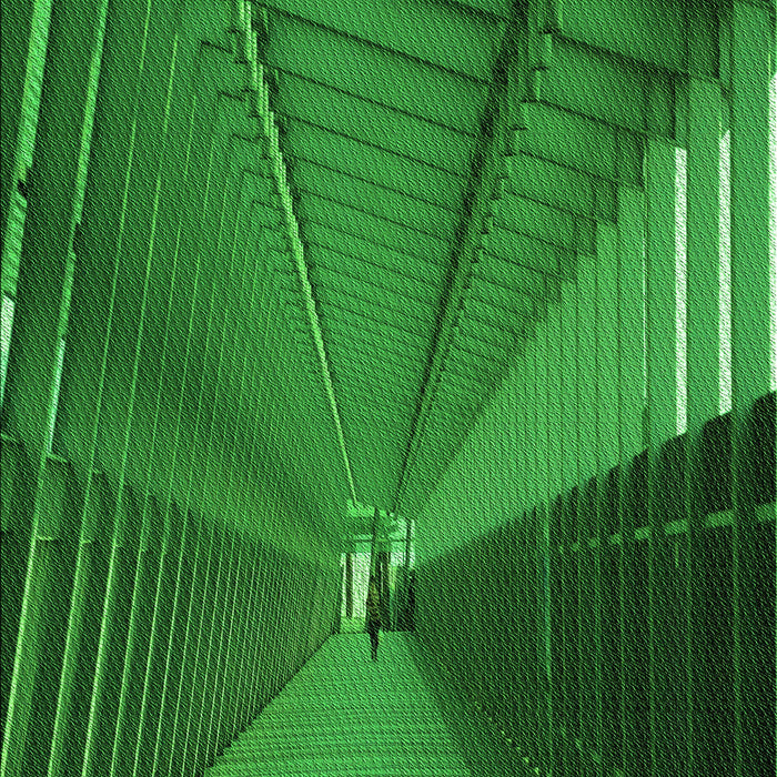 Patterned DarkGreen Rug, pat844grn