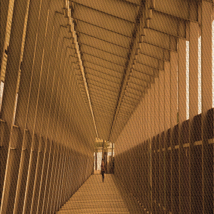 Patterned Red Brown Rug, pat844org