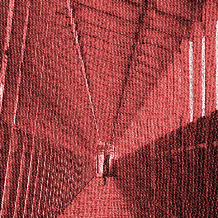 Machine Washable Transitional Tomato Red Rug, wshpat844rd