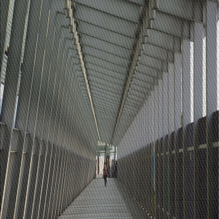 Patterned Charcoal Black Novelty Rug, pat844