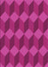 Machine Washable Transitional Fuchsia Magenta Purple Rug, wshpat861pur