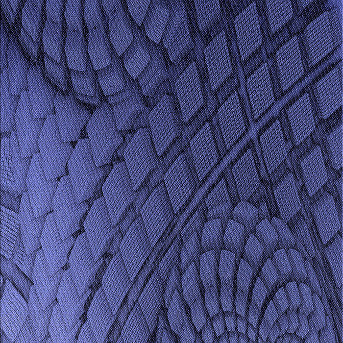 Patterned Royal Blue Rug, pat866blu