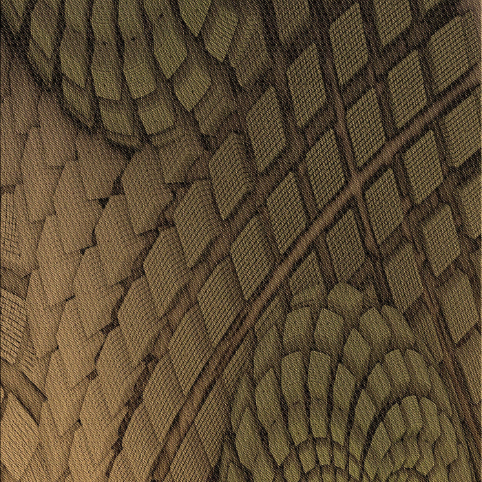 Patterned Red Rug, pat866brn