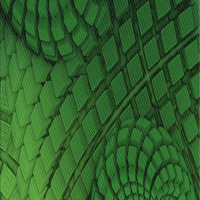 Patterned Deep Emerald Green Rug, pat866grn