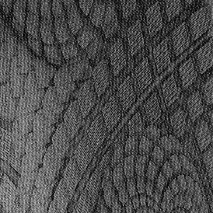 Patterned Charcoal Black Rug, pat866gry