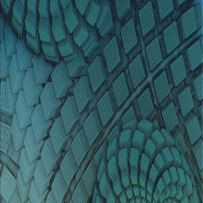 Patterned Deep Teal Green Rug, pat866lblu