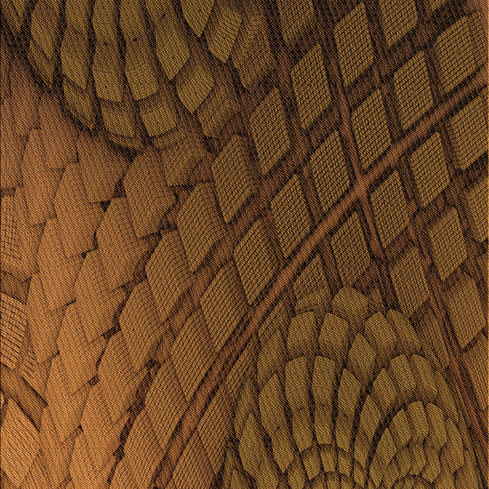 Patterned Red Rug, pat866org