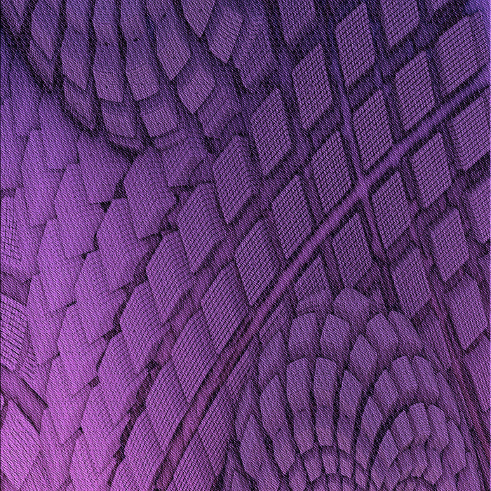 Patterned Dark Orchid Purple Rug, pat866pur