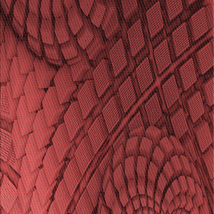 Patterned Crimson Red Rug, pat866rd