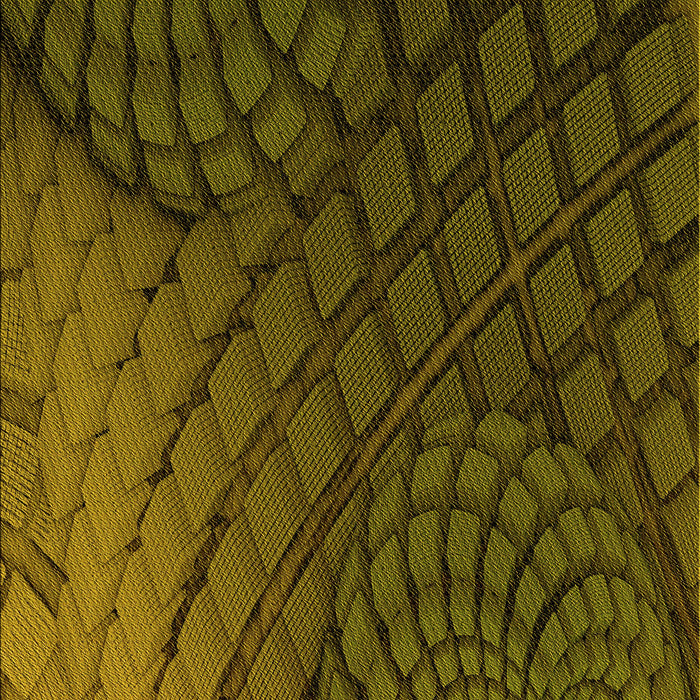 Patterned Dark Yellow Green Rug, pat866yw