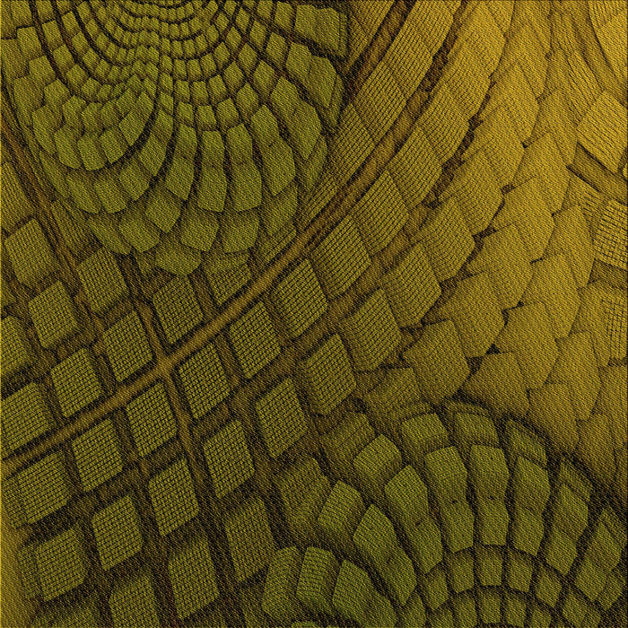 Round Machine Washable Transitional Dark Yellow Green Rug, wshpat866yw