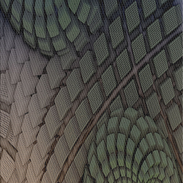 Patterned Army Brown Novelty Rug, pat866