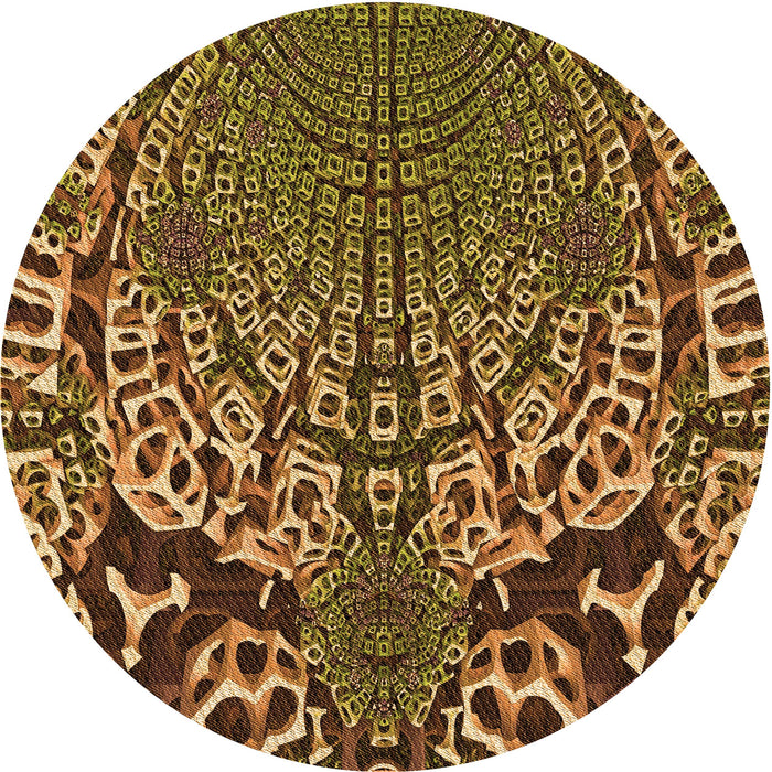 Square Machine Washable Transitional Night Red Rug in a Living Room, wshpat868org