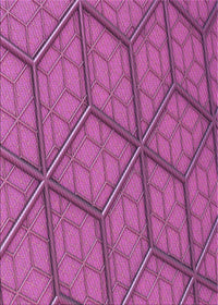 Machine Washable Transitional Medium Violet Red Pink Rug, wshpat869pur