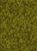Machine Washable Transitional Dark Yellow Green Rug, wshpat875yw