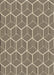 Machine Washable Transitional Chocolate Brown Rug, wshpat876brn