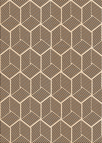 Machine Washable Transitional Khaki Gold Rug, wshpat876org