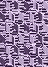 Machine Washable Transitional Purple Rug, wshpat876pur