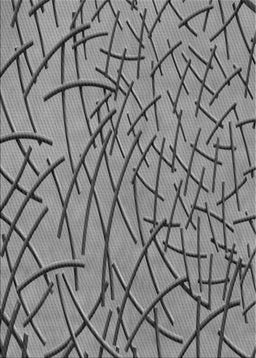 Patterned Gray Novelty Rug, pat882