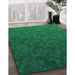 Patterned Deep Emerald Green Rug in Family Room, pat895lblu