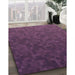Machine Washable Transitional Plum Purple Rug in a Family Room, wshpat895pur