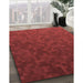 Patterned Cranberry Red Rug in Family Room, pat895rd