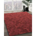 Machine Washable Transitional Cranberry Red Rug in a Family Room, wshpat895rd