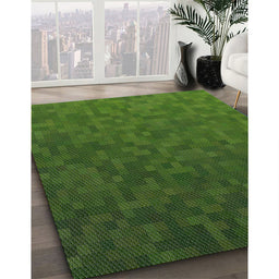 Patterned Deep Emerald Green Novelty Rug in Family Room, pat895
