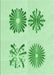 Patterned Light Green Rug, pat897grn
