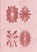 Patterned Light Rose Pink Rug, pat897rd