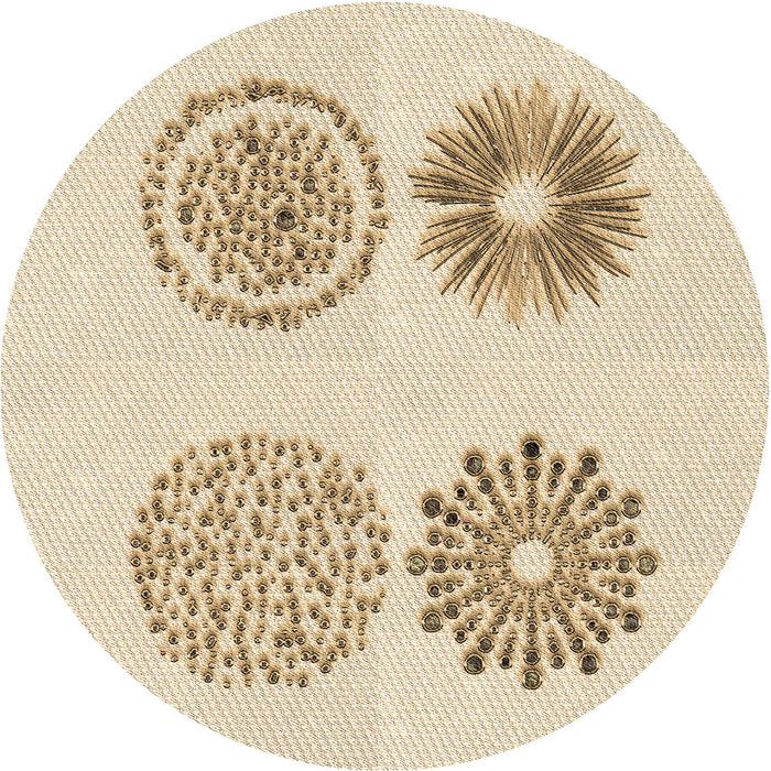 Square Machine Washable Transitional Peru Brown Rug in a Living Room, wshpat898brn