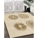 Machine Washable Transitional Peru Brown Rug in a Family Room, wshpat898brn