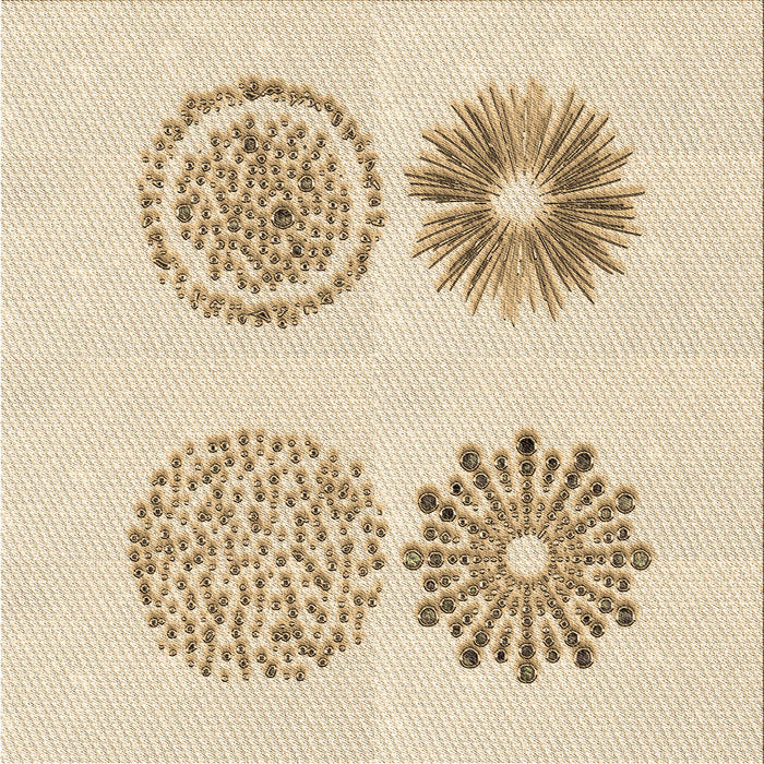 Round Machine Washable Transitional Peru Brown Rug, wshpat898brn