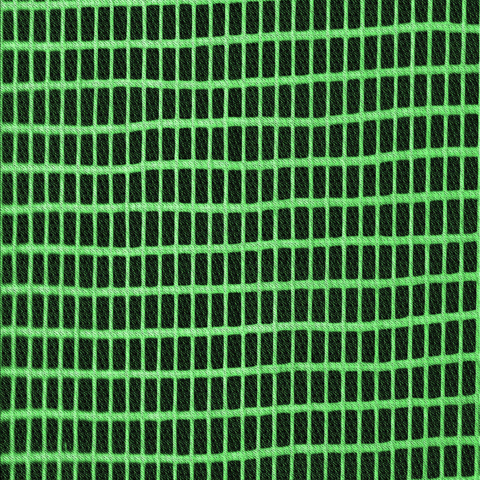 Patterned Black Rug, pat9grn