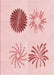 Patterned Light Rose Pink Rug, pat903rd