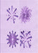 Machine Washable Transitional Purple Rug, wshpat906pur