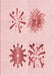 Patterned Light Rose Pink Rug, pat906rd