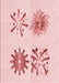 Machine Washable Transitional Light Rose Pink Rug, wshpat906rd