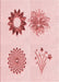 Machine Washable Transitional Light Rose Pink Rug, wshpat908rd