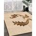 Machine Washable Transitional Bronze Brown Rug in a Family Room, wshpat912org