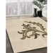 Machine Washable Transitional Peru Brown Rug in a Family Room, wshpat914brn