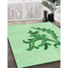 Patterned Mint Green Rug in Family Room, pat914grn