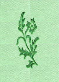 Machine Washable Transitional Mint Green Rug, wshpat915grn