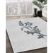 Machine Washable Transitional White Smoke Rug in a Family Room, wshpat915